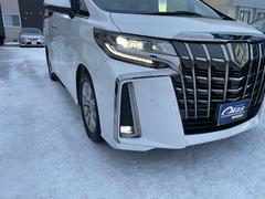 ̣ţĥإåɥ饤ȡ󥷥륦󥫡 4