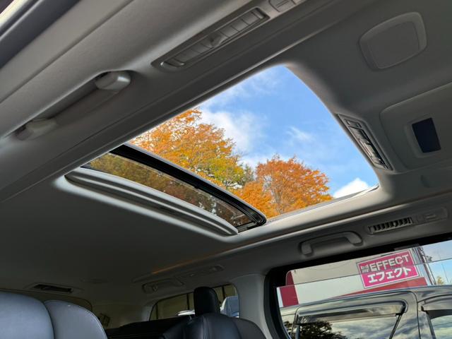 ムーンルーフ！