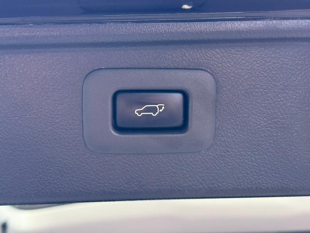 パワーバックドア！