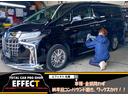 ２．４アエラス　Ｇエディション　４ＷＤ　両側ＰＷスライドドア　フリップダウンモニター　Ｒエアコン　ＥＴＣ　Ｂカメラ　ナビ　ＴＶ　本州仕入れ(9枚目)