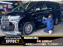 SUZUKI PALETTE SW