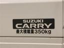最大積載量３５０ｋｇです♪
