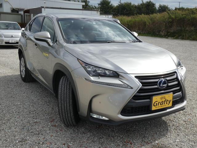 NX300h Iパッケージ 4WD(6枚目)