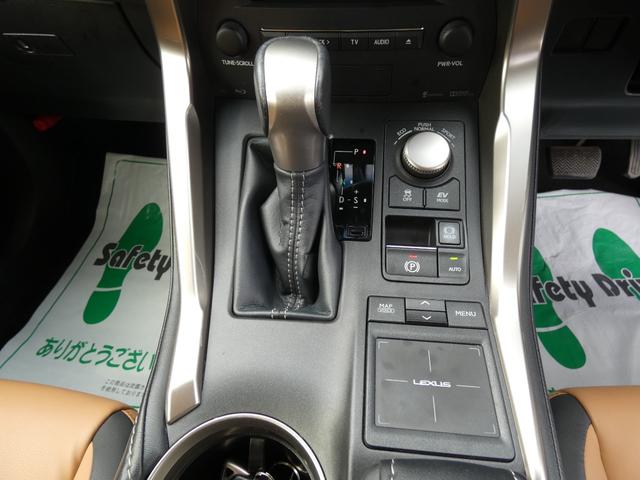 NX300h Iパッケージ 4WD(19枚目)