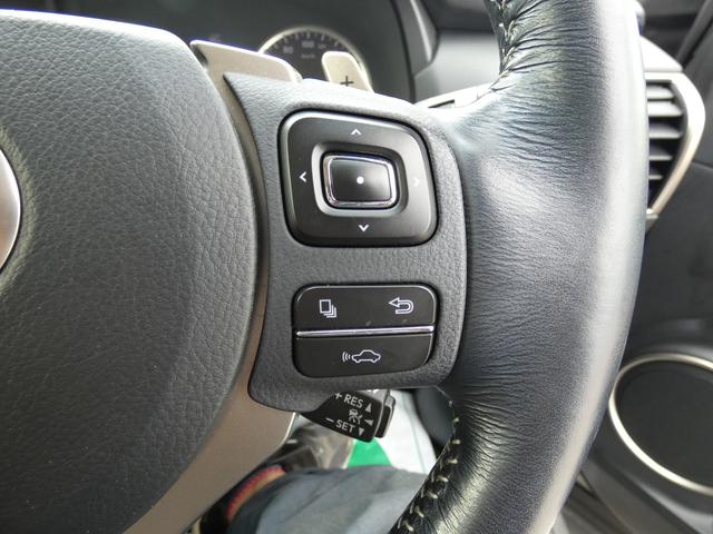 NX300h Iパッケージ 4WD(24枚目)