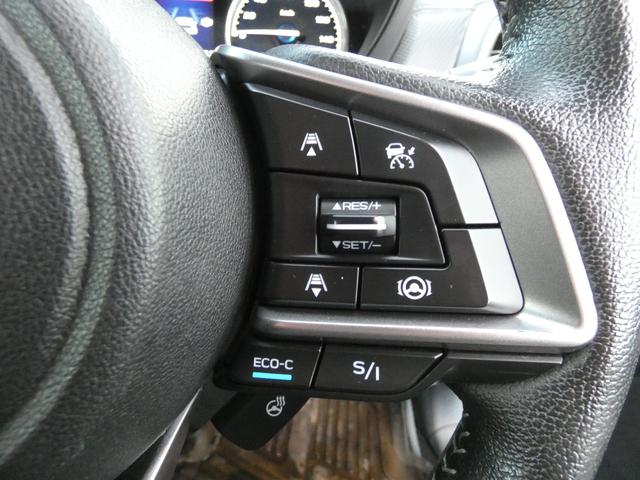 フォレスター アドバンス 4WD(28枚目)