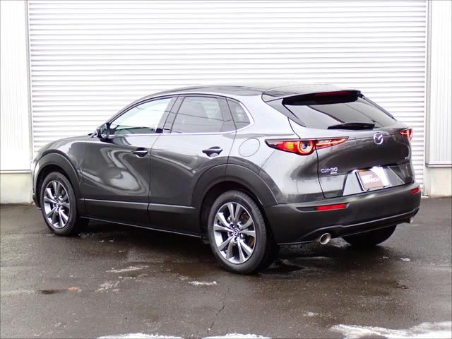 ＣＸ－３０ Ｘ　Ｌパッケージ　４ＷＤ　ＢＯＳＥサウンド　純正エンジンスターター　全方位カメラ　パワーバックドア　ブラインドスポットモニター　革シート　シートヒーター　パワーシート　ＥＴＣ　Ｂｌｕｅｔｏｏｔｈ接続　ＨＤＭＩ　ＵＳＢ（6枚目）