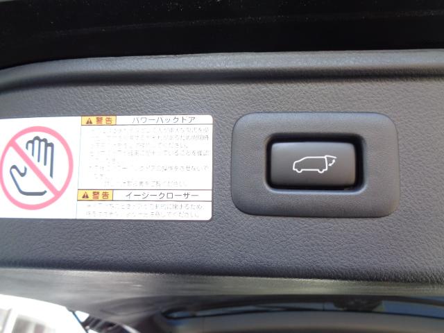 3.5ZA ゴールデンアイズ 4WD 社外メモリーナビ 後席モニター 純正エンジンスターター パワーバックドア LEDヘッドライト(16枚目)