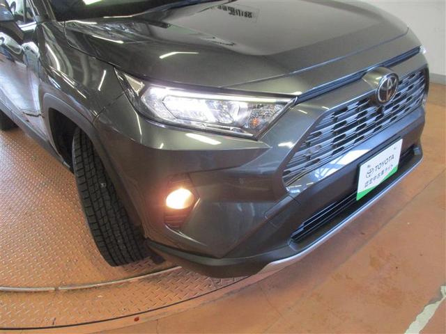 ＲＡＶ４ Ｇ　４ＷＤ　ミュージックプレイヤー接続可　バックカメラ　衝突被害軽減システム　ＬＥＤヘッドランプ　ワンオーナー（19枚目）