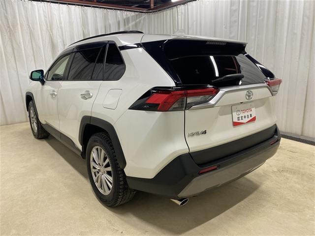 RAV4 G 4WD フルセグ ミュージックプレイヤー接続可 バックカメラ 衝突被害軽減システム ETC ドラレコ LEDヘッドランプ ワンオーナー(30枚目)