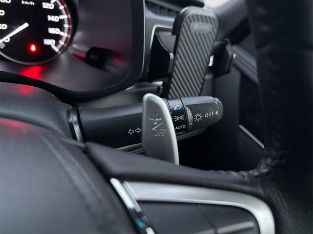 デリカＤ：５ シャモニー　４ＷＤ　ＥＴＣ　バックカメラ　ＴＶ　オートクルーズコントロール　レーンアシスト　衝突被害軽減システム　両側電動スライドドア　オートライト　ＬＥＤヘッドランプ　電動リアゲート　スマートキー（29枚目）