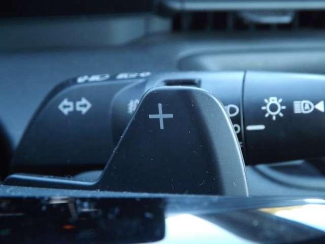 セレナ ２．０　ＸＶ　４ＷＤ　メモリーナビゲーション（10枚目）