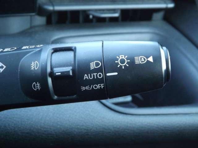 セレナ ２．０　ＸＶ　４ＷＤ　メモリーナビゲーション（17枚目）