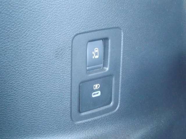 セレナ ２．０　ＸＶ　４ＷＤ　メモリーナビゲーション（38枚目）