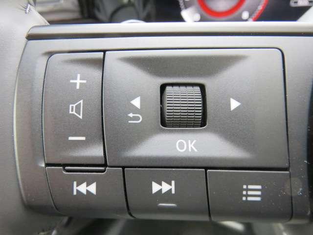 セレナ 2.0 ハイウェイスターV 4WD 当社試乗車アップ アラウンドビューモニタ(12枚目)