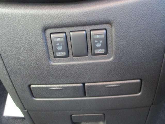 エルグランド 3.5 350ハイウェイスター プレミアム アーバンクロム 4WD 低速衝突被害軽減ブレーキ横滑り防止アラウ(17枚目)