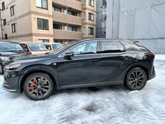 �ң� �ңأ��������ƥ��ݡ��ġ����ףġ��ʥӥХå���˥������졼�󥢥����� 0300572A30251220W002 6