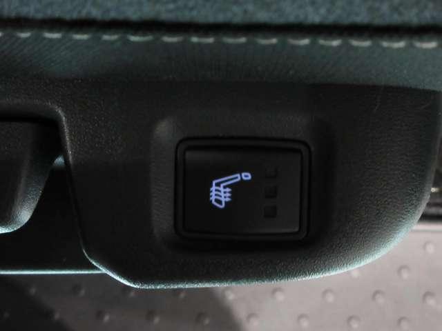 セレナ ２．０　ハイウェイスターＶ　４ＷＤ　アラウンドビューモニター（15枚目）