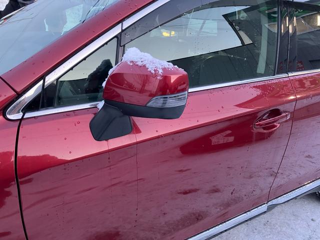 レガシィアウトバック リミテッド　４ＷＤ　純正ナビ　バックカメラ　パワーバックドア　革シート　プッシュスタート　スマートキー（20枚目）