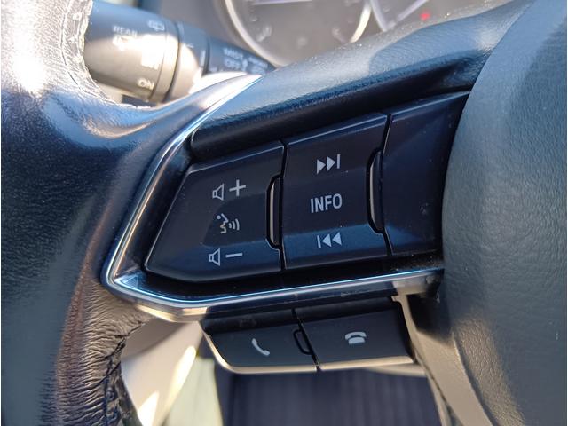 アテンザワゴン ＸＤ　Ｌパッケージ　４ＷＤ　ＥＴＣ　バックカメラ　ナビ　ＴＶ　クリアランスソナー　オートクルーズコントロール　レーンアシスト　衝突被害軽減システム　アルミホイール　オートライト　ＬＥＤヘッドランプ（10枚目）