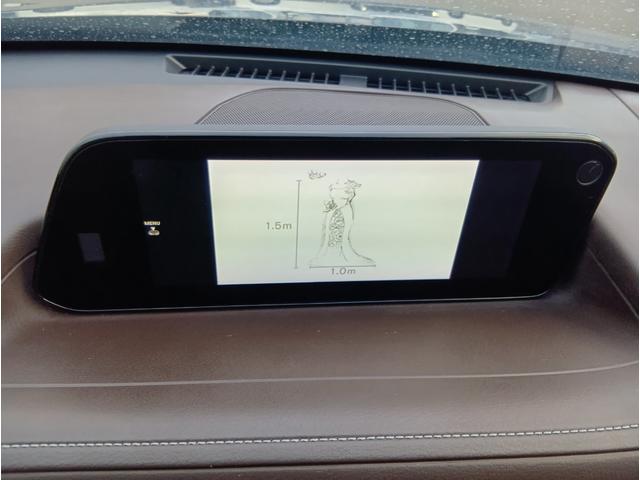 ＣＸ－３０ Ｘ　Ｌパッケージ　４ＷＤ　ドライブレコーダー　ＥＴＣ　全周囲カメラ　クリアランスソナー　オートクルーズコントロール　パワーシート　衝突被害軽減システム　ナビ　ＴＶ　オートライト　ＬＥＤヘッドランプ　アルミホイール（6枚目）