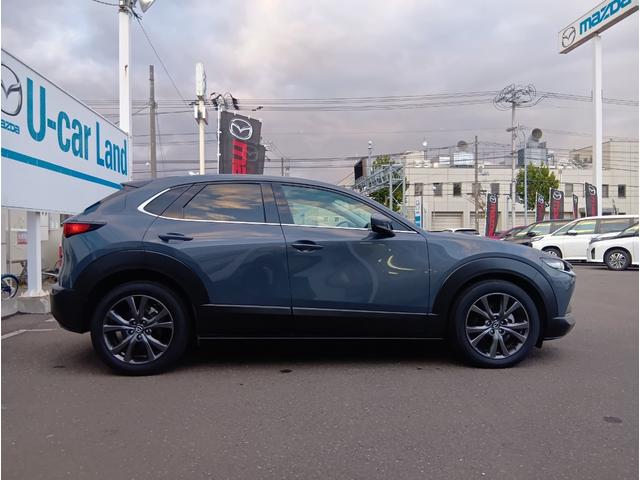 ＣＸ－３０ Ｘ　Ｌパッケージ　４ＷＤ　ドライブレコーダー　ＥＴＣ　全周囲カメラ　クリアランスソナー　オートクルーズコントロール　パワーシート　衝突被害軽減システム　ナビ　ＴＶ　オートライト　ＬＥＤヘッドランプ　アルミホイール（14枚目）