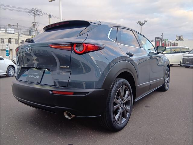 ＣＸ－３０ Ｘ　Ｌパッケージ　４ＷＤ　ドライブレコーダー　ＥＴＣ　全周囲カメラ　クリアランスソナー　オートクルーズコントロール　パワーシート　衝突被害軽減システム　ナビ　ＴＶ　オートライト　ＬＥＤヘッドランプ　アルミホイール（15枚目）