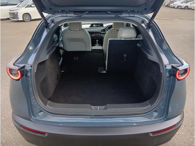 ＣＸ－３０ Ｘ　Ｌパッケージ　４ＷＤ　ドライブレコーダー　ＥＴＣ　全周囲カメラ　クリアランスソナー　オートクルーズコントロール　パワーシート　衝突被害軽減システム　ナビ　ＴＶ　オートライト　ＬＥＤヘッドランプ　アルミホイール（18枚目）