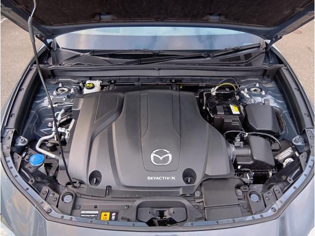 ＣＸ－３０ Ｘ　Ｌパッケージ　４ＷＤ　ドライブレコーダー　ＥＴＣ　全周囲カメラ　クリアランスソナー　オートクルーズコントロール　パワーシート　衝突被害軽減システム　ナビ　ＴＶ　オートライト　ＬＥＤヘッドランプ　アルミホイール（19枚目）