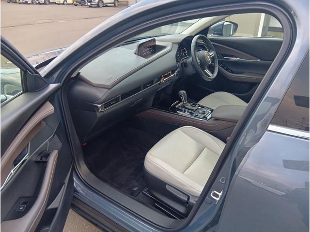 ＣＸ－３０ Ｘ　Ｌパッケージ　４ＷＤ　ドライブレコーダー　ＥＴＣ　全周囲カメラ　クリアランスソナー　オートクルーズコントロール　パワーシート　衝突被害軽減システム　ナビ　ＴＶ　オートライト　ＬＥＤヘッドランプ　アルミホイール（29枚目）