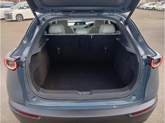 ＣＸ－３０ Ｘ　Ｌパッケージ　４ＷＤ　ドライブレコーダー　ＥＴＣ　全周囲カメラ　クリアランスソナー　オートクルーズコントロール　パワーシート　衝突被害軽減システム　ナビ　ＴＶ　オートライト　ＬＥＤヘッドランプ　アルミホイール（31枚目）