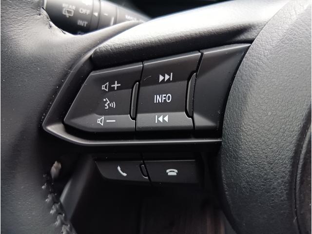 ＣＸ－３ ＸＤ　４ＷＤ　ＥＴＣ　バックカメラ　クリアランスソナー　レーンアシスト　衝突被害軽減システム　ＬＥＤヘッドランプ　アルミホイール　スマートキー　アイドリングストップ　ＡＴ　盗難防止システム　衝突安全ボディ（10枚目）