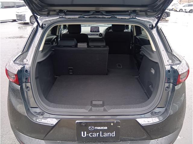 ＣＸ－３ ＸＤ　４ＷＤ　ＥＴＣ　バックカメラ　クリアランスソナー　レーンアシスト　衝突被害軽減システム　ＬＥＤヘッドランプ　アルミホイール　スマートキー　アイドリングストップ　ＡＴ　盗難防止システム　衝突安全ボディ（17枚目）