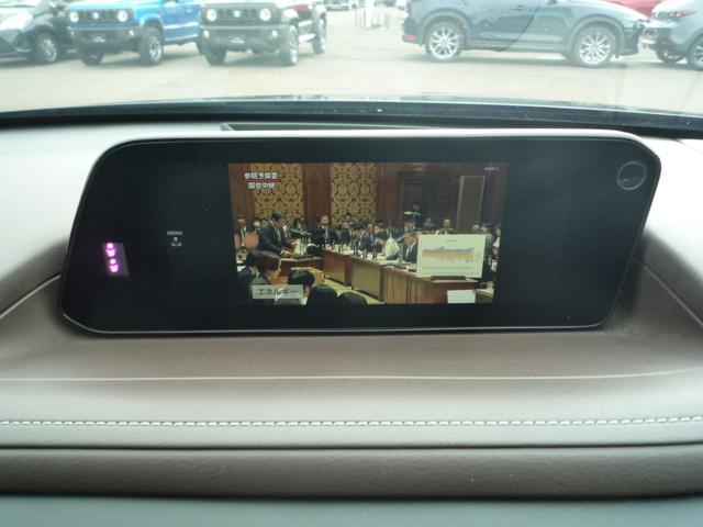 ＣＸ－３０ ＸＤ　Ｌパッケージ　４ＷＤ　ＥＴＣ　全周囲カメラ　クリアランスソナー　オートクルーズコントロール　レーンアシスト　パワーシート　衝突被害軽減システム　ナビ　ＴＶ　オートライト　ＬＥＤヘッドランプ　電動リアゲート（5枚目）