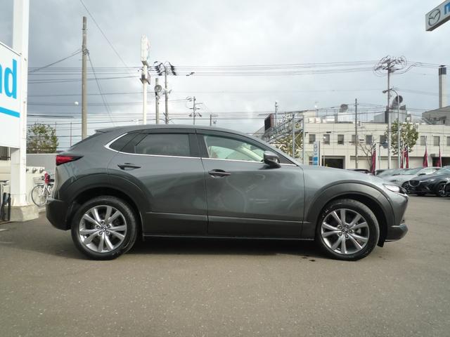 ＣＸ－３０ ＸＤ　Ｌパッケージ　４ＷＤ　ＥＴＣ　全周囲カメラ　クリアランスソナー　オートクルーズコントロール　レーンアシスト　パワーシート　衝突被害軽減システム　ナビ　ＴＶ　オートライト　ＬＥＤヘッドランプ　電動リアゲート（13枚目）