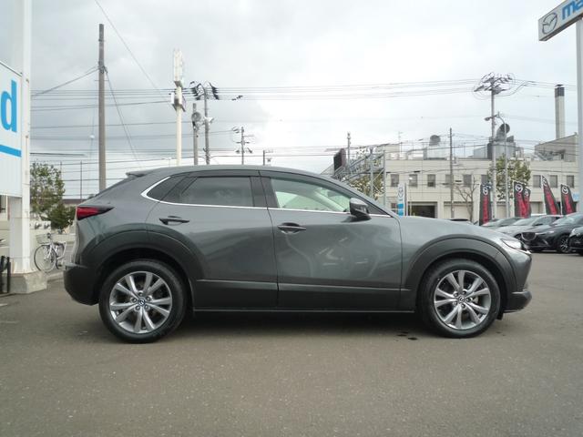 ＣＸ－３０ ＸＤ　Ｌパッケージ　４ＷＤ　ＥＴＣ　全周囲カメラ　クリアランスソナー　オートクルーズコントロール　レーンアシスト　パワーシート　衝突被害軽減システム　ナビ　ＴＶ　オートライト　ＬＥＤヘッドランプ　電動リアゲート（14枚目）