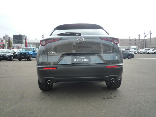 ＣＸ－３０ ＸＤ　Ｌパッケージ　４ＷＤ　ＥＴＣ　全周囲カメラ　クリアランスソナー　オートクルーズコントロール　レーンアシスト　パワーシート　衝突被害軽減システム　ナビ　ＴＶ　オートライト　ＬＥＤヘッドランプ　電動リアゲート（17枚目）