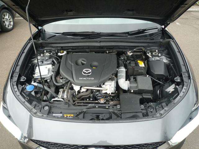 ＣＸ－３０ ＸＤ　Ｌパッケージ　４ＷＤ　ＥＴＣ　全周囲カメラ　クリアランスソナー　オートクルーズコントロール　レーンアシスト　パワーシート　衝突被害軽減システム　ナビ　ＴＶ　オートライト　ＬＥＤヘッドランプ　電動リアゲート（19枚目）