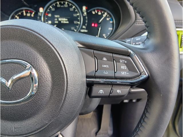 ＣＸ－５ ＸＤ　フィールドジャーニー　４ＷＤ　ドライブレコーダー　全周囲カメラ　クリアランスソナー　オートクルーズコントロール　レーンアシスト　パワーシート　衝突被害軽減システム　ナビ　ＴＶ　ＬＥＤヘッドランプ　電動リアゲート（11枚目）