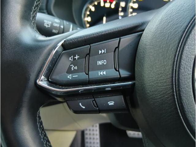 ＣＸ－８ ＸＤ　Ｌパッケージ　４ＷＤ　ＥＴＣ　全周囲カメラ　クリアランスソナー　オートクルーズコントロール　レーンアシスト　衝突被害軽減システム　ＴＶ　オートライト　ＬＥＤヘッドランプ　電動リアゲート　アルミホイール　スマートキー（7枚目）