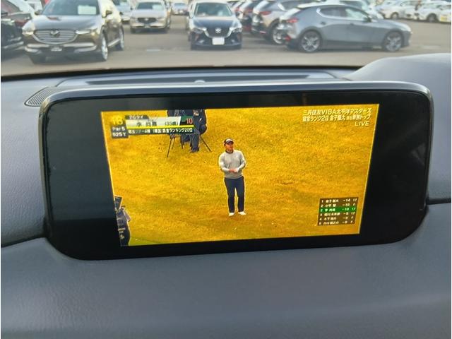 ＣＸ－５ ＸＤ　Ｌパッケージ　４ＷＤ　ドライブレコーダー　全周囲カメラ　クリアランスソナー　オートクルーズコントロール　レーンアシスト　パワーシート　衝突被害軽減システム　ＴＶ　オートライト　ＬＥＤヘッドランプ　電動リアゲート（6枚目）