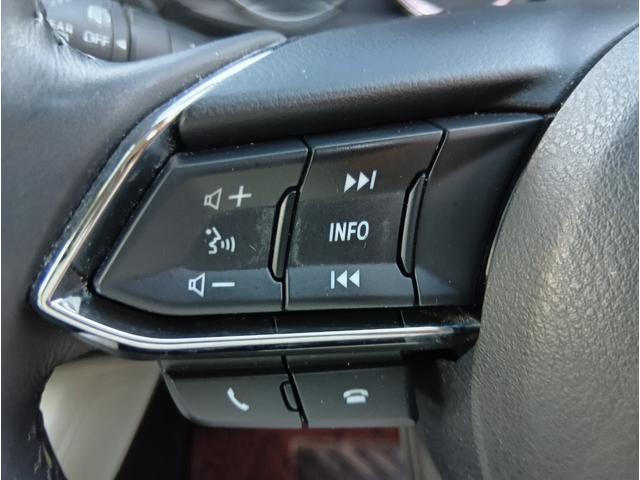 ＣＸ－５ ＸＤ　Ｌパッケージ　４ＷＤ　ドライブレコーダー　全周囲カメラ　クリアランスソナー　オートクルーズコントロール　レーンアシスト　パワーシート　衝突被害軽減システム　ＴＶ　オートライト　ＬＥＤヘッドランプ　電動リアゲート（10枚目）