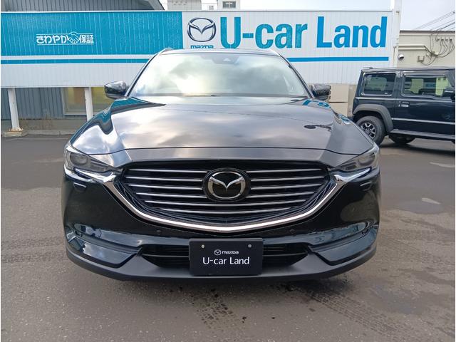 ＣＸ－８ ＸＤ　Ｌパッケージ　４ＷＤ　ＥＴＣ　バックカメラ　クリアランスソナー　オートクルーズコントロール　レーンアシスト　パワーシート　衝突被害軽減システム　ＴＶ　オートライト　ＬＥＤヘッドランプ　ヘッドライトウォッシャー（12枚目）