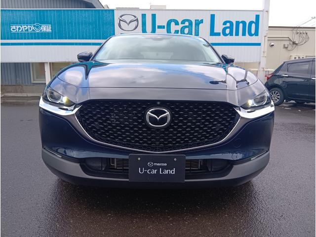 ＣＸ－３０ ２０Ｓ　プロアクティブ　ツーリングセレクション　４ＷＤ　ドライブレコーダー　ＥＴＣ　全周囲カメラ　クリアランスソナー　オートクルーズコントロール　レーンアシスト　パワーシート　衝突被害軽減システム　ナビ　ＴＶ　ＬＥＤヘッドランプ　電動リアゲート（12枚目）