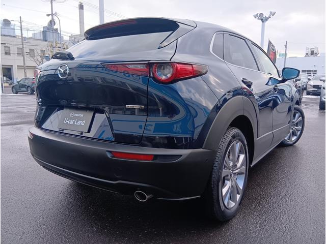 ＣＸ－３０ ２０Ｓ　プロアクティブ　ツーリングセレクション　４ＷＤ　ドライブレコーダー　ＥＴＣ　全周囲カメラ　クリアランスソナー　オートクルーズコントロール　レーンアシスト　パワーシート　衝突被害軽減システム　ナビ　ＴＶ　ＬＥＤヘッドランプ　電動リアゲート（15枚目）