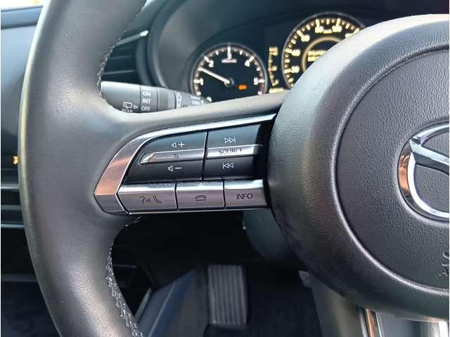 ＣＸ－３０ ＸＤ　プロアクティブ　ツーリングセレクション　４ＷＤ　全周囲カメラ　クリアランスソナー　オートクルーズコントロール　パワーシート　衝突被害軽減システム　ナビ　ＴＶ　オートライト　ＬＥＤヘッドランプ　電動リアゲート　アルミホイール　スマートキー（7枚目）