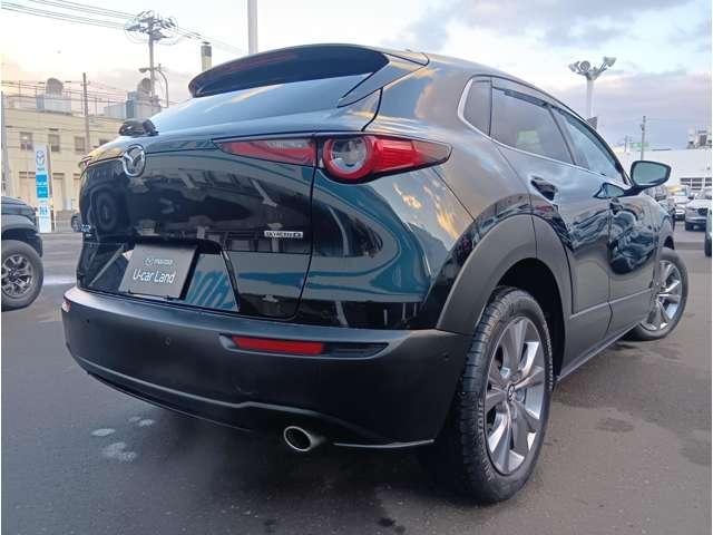 ＣＸ－３０ ＸＤ　プロアクティブ　ツーリングセレクション　４ＷＤ　全周囲カメラ　クリアランスソナー　オートクルーズコントロール　パワーシート　衝突被害軽減システム　ナビ　ＴＶ　オートライト　ＬＥＤヘッドランプ　電動リアゲート　アルミホイール　スマートキー（15枚目）