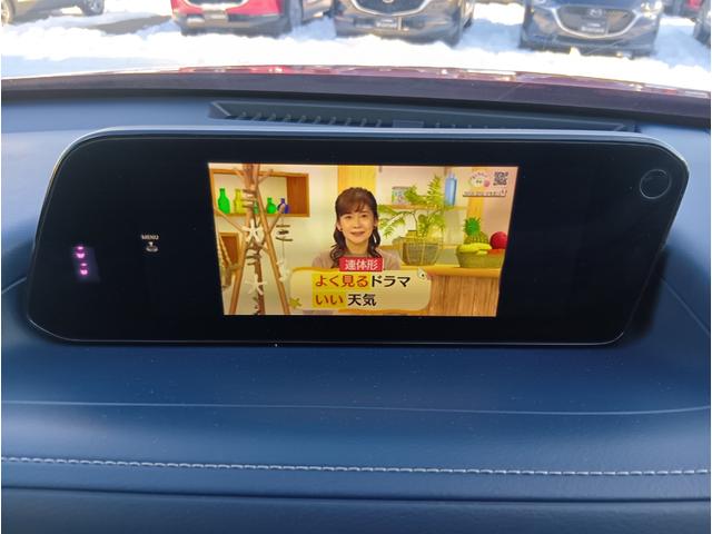 ＣＸ－３０ ２０Ｓ　プロアクティブ　ツーリングセレクション　４ＷＤ　ＥＴＣ　全周囲カメラ　クリアランスソナー　オートクルーズコントロール　パワーシート　衝突被害軽減システム　ナビ　ＴＶ　オートマチックハイビーム　オートライト　ＬＥＤヘッドランプ　アルミホイール（3枚目）