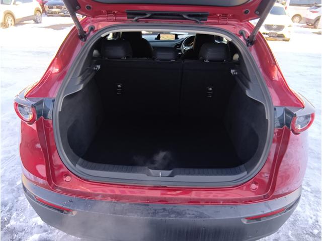 ＣＸ－３０ ２０Ｓ　プロアクティブ　ツーリングセレクション　４ＷＤ　ＥＴＣ　全周囲カメラ　クリアランスソナー　オートクルーズコントロール　パワーシート　衝突被害軽減システム　ナビ　ＴＶ　オートマチックハイビーム　オートライト　ＬＥＤヘッドランプ　アルミホイール（22枚目）