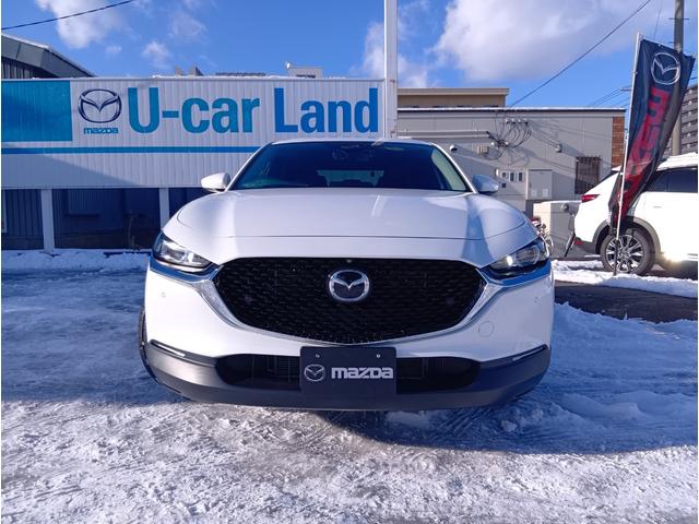 ＣＸ－３０ ２０Ｓ　Ｌパッケージ　４ＷＤ　ＥＴＣ　全周囲カメラ　クリアランスソナー　オートクルーズコントロール　パワーシート　衝突被害軽減システム　ナビ　ＴＶ　オートライト　ＬＥＤヘッドランプ　電動リアゲート　アルミホイール（12枚目）